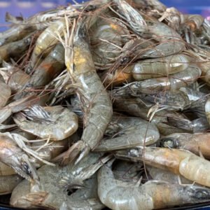 লোনা হরিণা চিংড়ি ১ কেজি